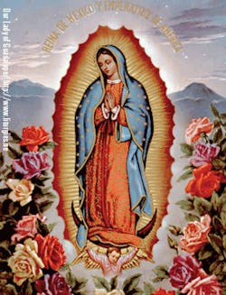 Mhlnews Com Sites Mhlnews com Files Uploads 2013 05 3 Our Lady 0 Mhlnews Com Sites Mhlnews com Files Uploads 2013 05 3 Our Lady 0
