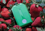 Mhlnews Com Sites Mhlnews com Files Uploads 2015 03 2 Tag Strawberries Mhlnews Com Sites Mhlnews com Files Uploads 2015 03 2 Tag Strawberries