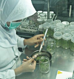 Mhlnews Com Sites Mhlnews com Files Uploads 2016 App Tree Lab Mhlnews Com Sites Mhlnews com Files Uploads 2016 App Tree Lab