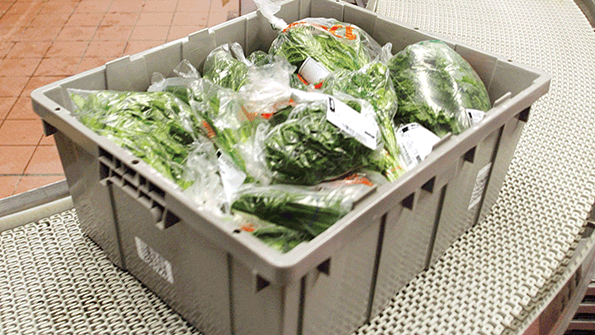 FDA Reveals How it is Tackling Import Food Safety