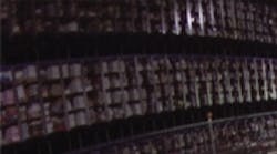 Mhlnews 1221 Conveyor309 Mhlnews 1221 Conveyor309