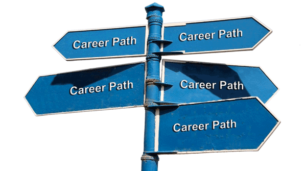 supply chain careers