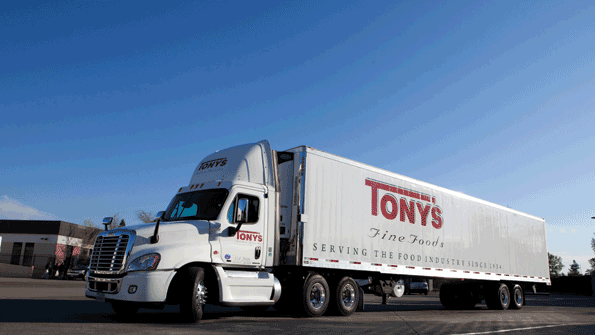 food chain distribution