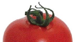 Mhlnews 308 Bar Codes Tomato