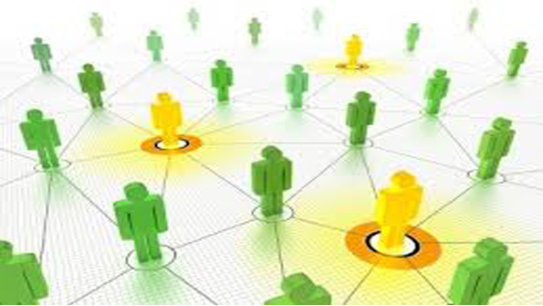 marketing and procurement and logistics