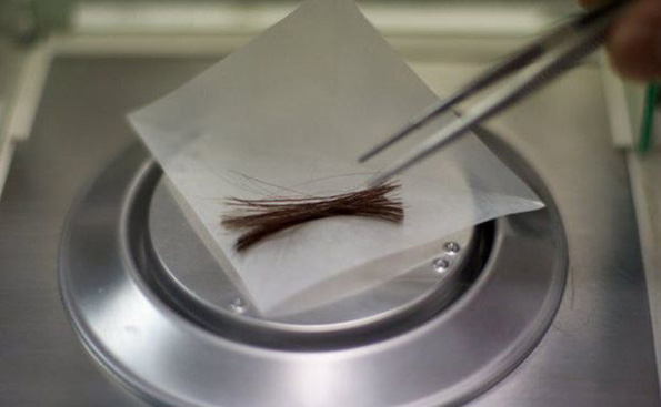 ATA Says Yes to Hair Testing for Drug Screening