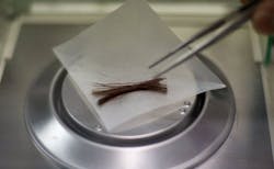 ATA Says Yes to Hair Testing for Drug Screening ATA Says Yes to Hair Testing for Drug Screening