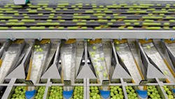 Highvolume apple sorting at MIVOR Highvolume apple sorting at MIVOR