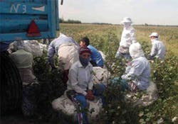 Removing Forced Labor from Cotton Supply Chain Removing Forced Labor from Cotton Supply Chain