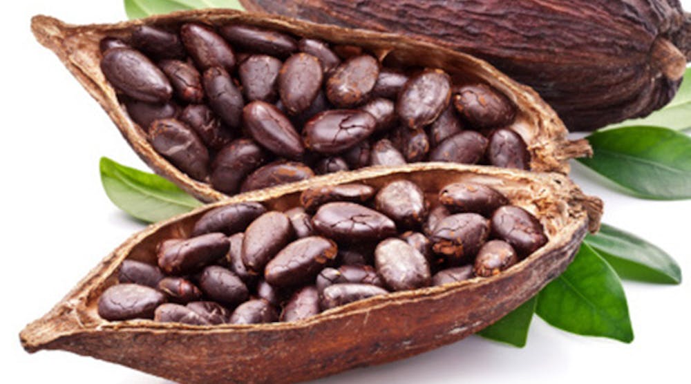 Mhlnews 5018 Cocoa Beans 1