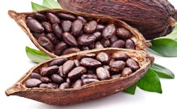 Major Food Companies Pledge to End Deforestation in Cocoa Supply Chain Major Food Companies Pledge to End Deforestation in Cocoa Supply Chain