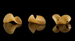 3D Technology to Help Shipping Costs in Food Industry