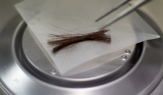 Hair Testing for Opioid Use