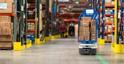 ryder-fetch-promo ryder-fetch-promo