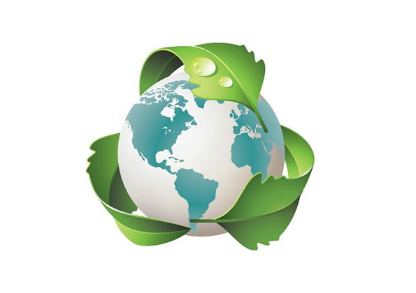 Green Purchasing Power: Sustainability is Major Factor