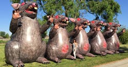 scabby-the-rat scabby-the-rat