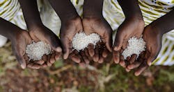 world hunger.jpg world hunger.jpg