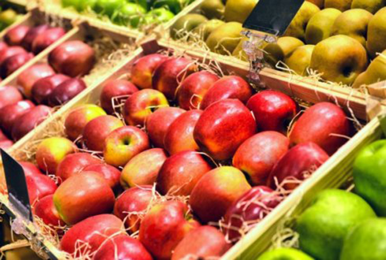 Sustainable Food Supply Chain