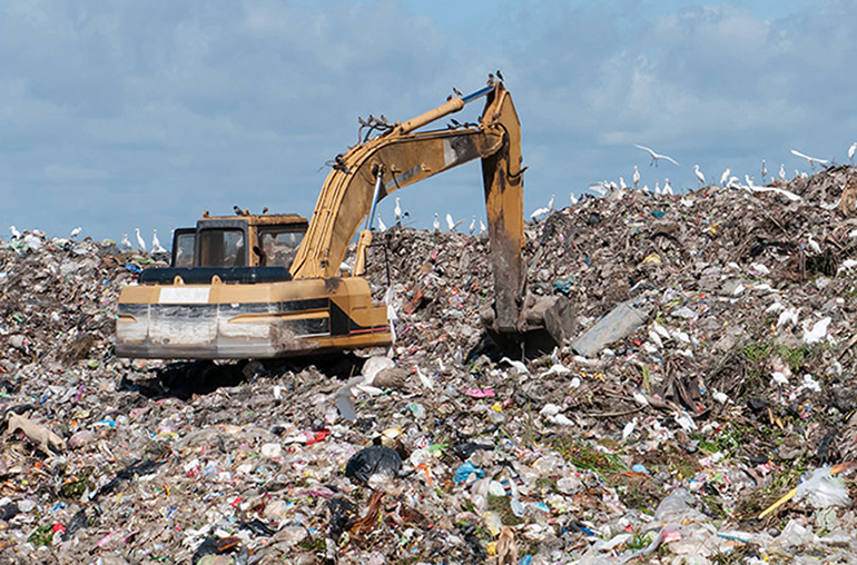 Opinion: All Those Returns Are Killing the Environment