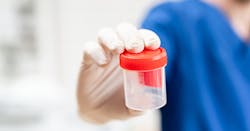 Driver Drug Testing 5e13322270081 Driver Drug Testing 5e13322270081