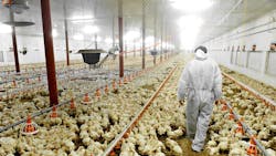 Workers Critical to World’s Food Supply Are Starting to Fall Ill Workers Critical to World’s Food Supply Are Starting to Fall Ill