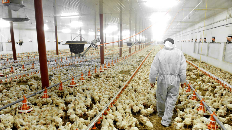 Workers Critical to World&rsquo;s Food Supply Are Starting to Fall Ill