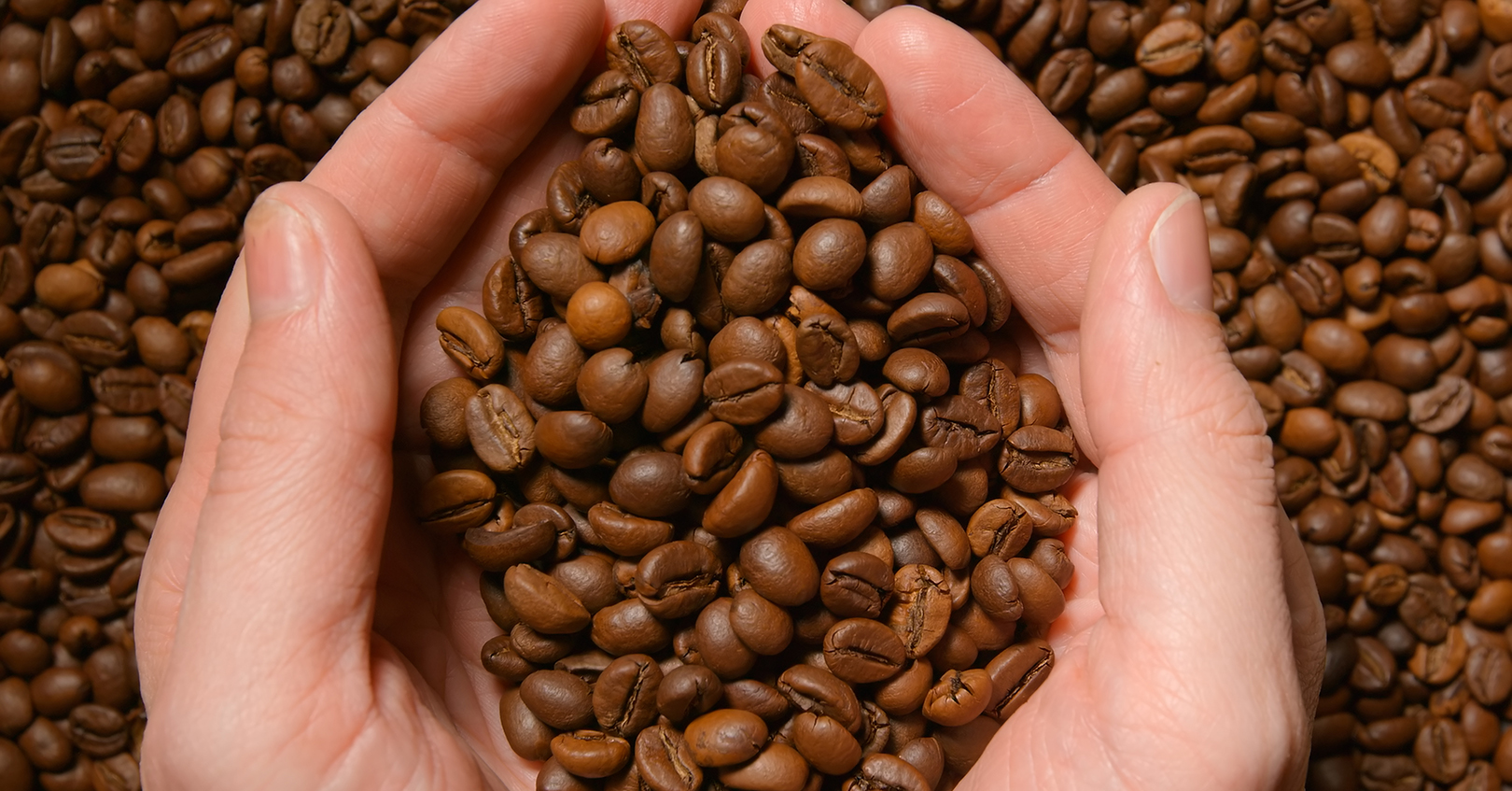 Coffee Beans 5f1ae97dce16e