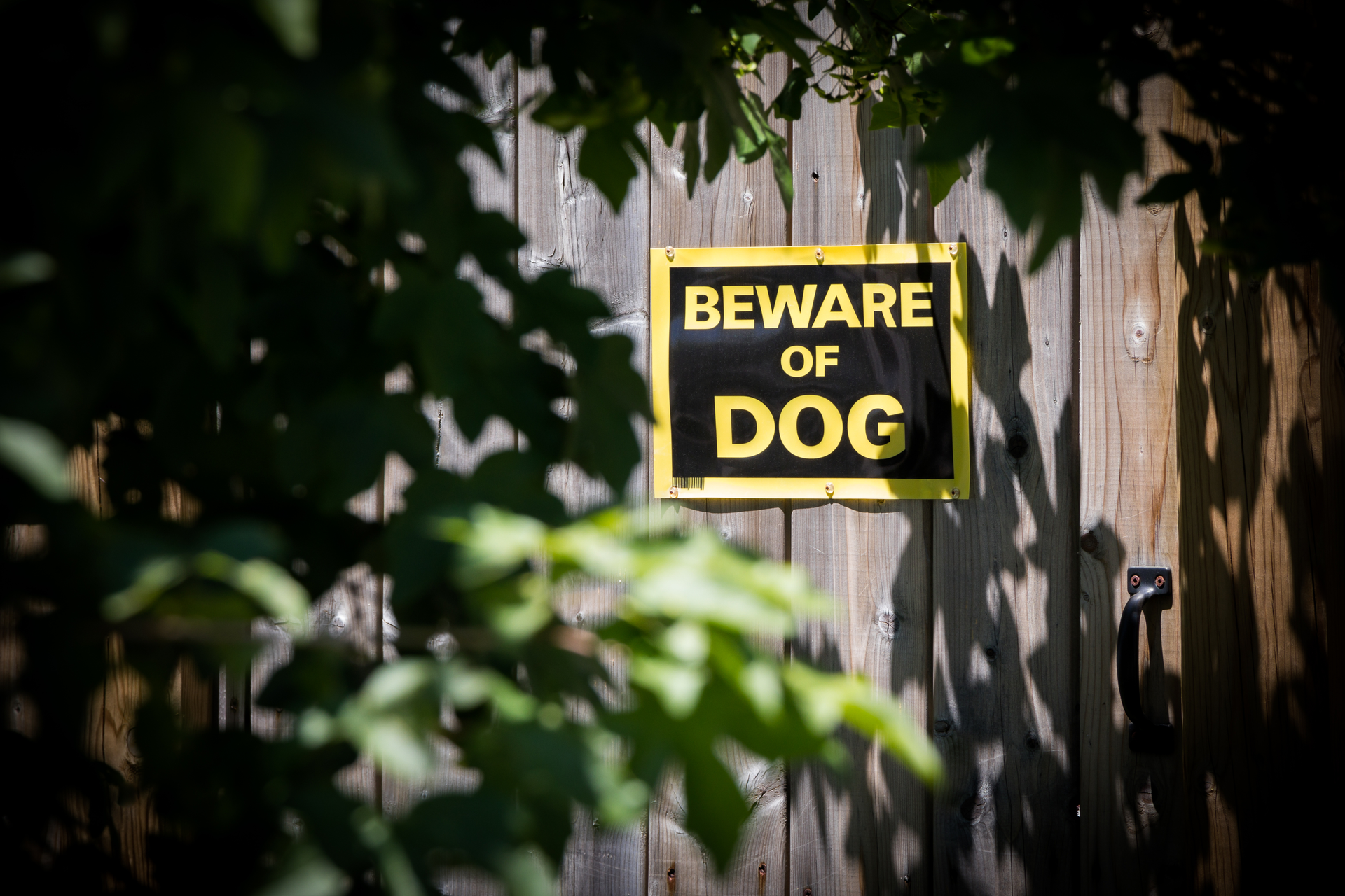 Beware Of Dog Sign 5f442bc19a725