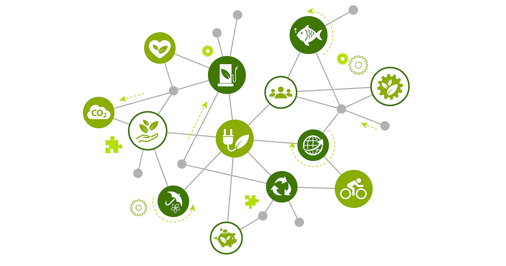 Sustainability In Supply Chain 5fd0e73001977