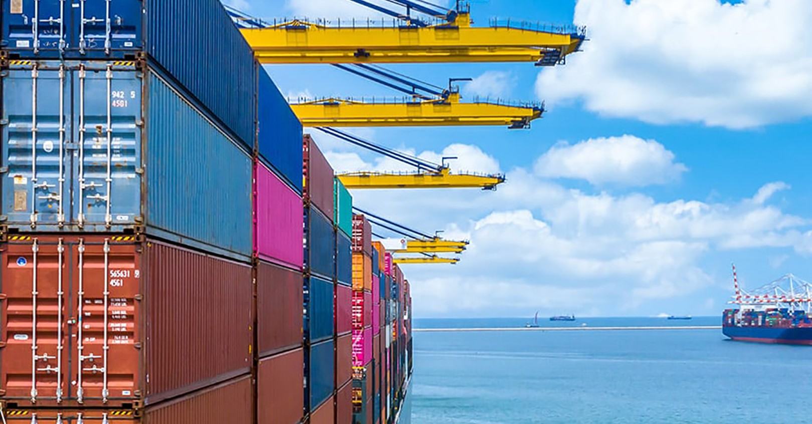 Four Kites Dynamic Ocean 608a2025eb9be