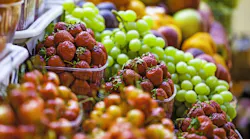 Pallet Shortages Putting Fresh Produce Supply at Risk