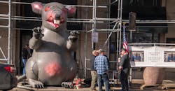 Scabby The Rat 611bc932d8a6d Scabby The Rat 611bc932d8a6d