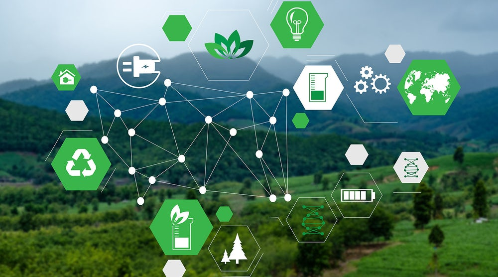 Fixing the Gray Areas in a Green Supply Chain