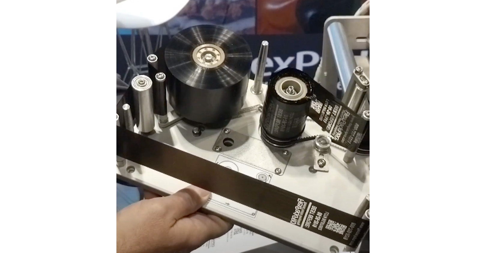 Griffin 61d470299859a