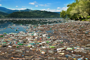 Plastic Pollution Bidouze St�phane