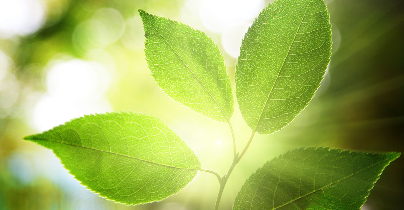 Hfc 1540x800 6328c9b7e3e44