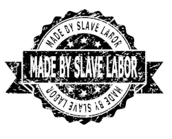 Limited Progress in Addressing Modern Slavery Risk Limited Progress in Addressing Modern Slavery Risk