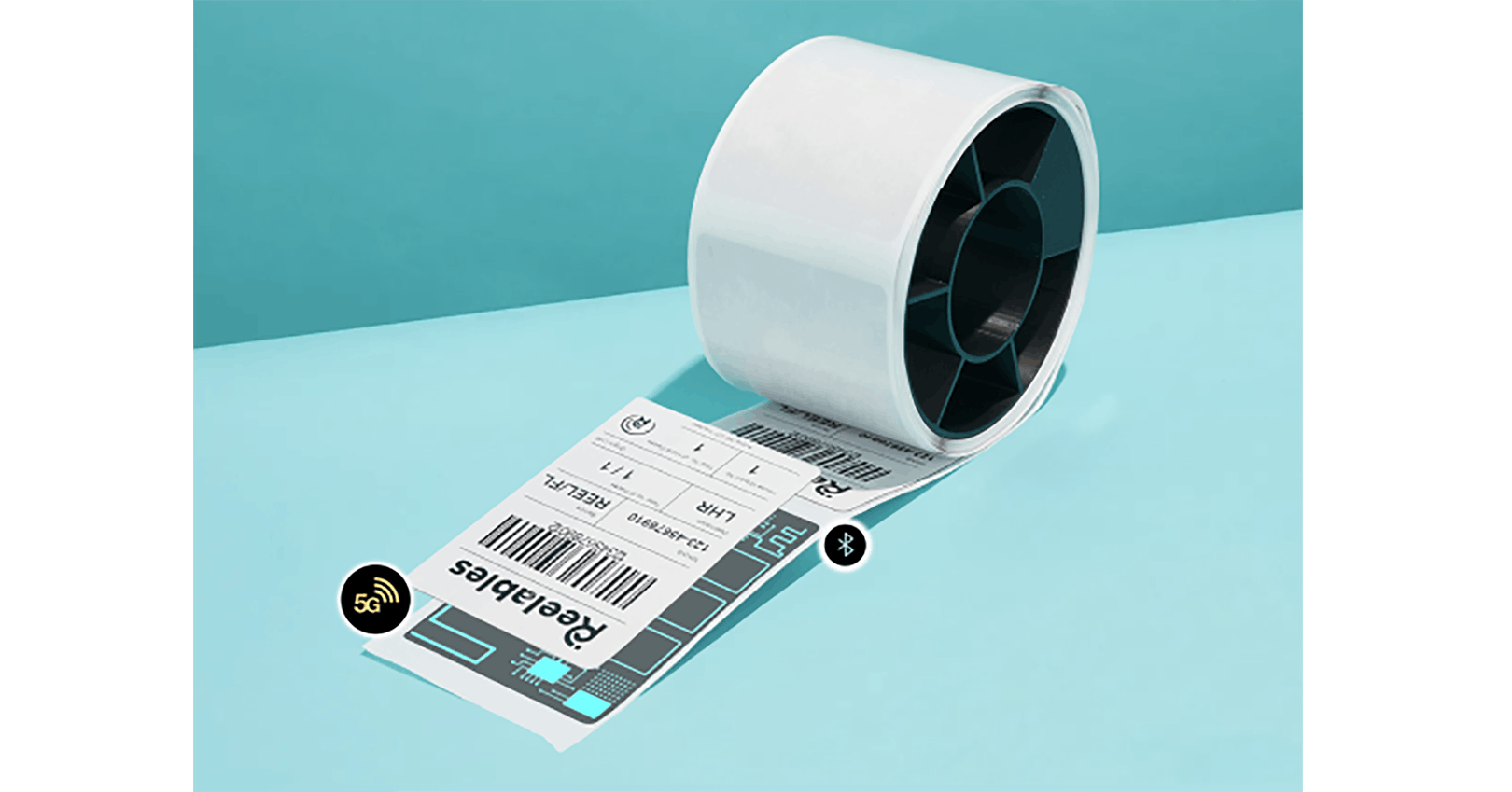 656f84cd9fe20c001e81d4e9 Reelables