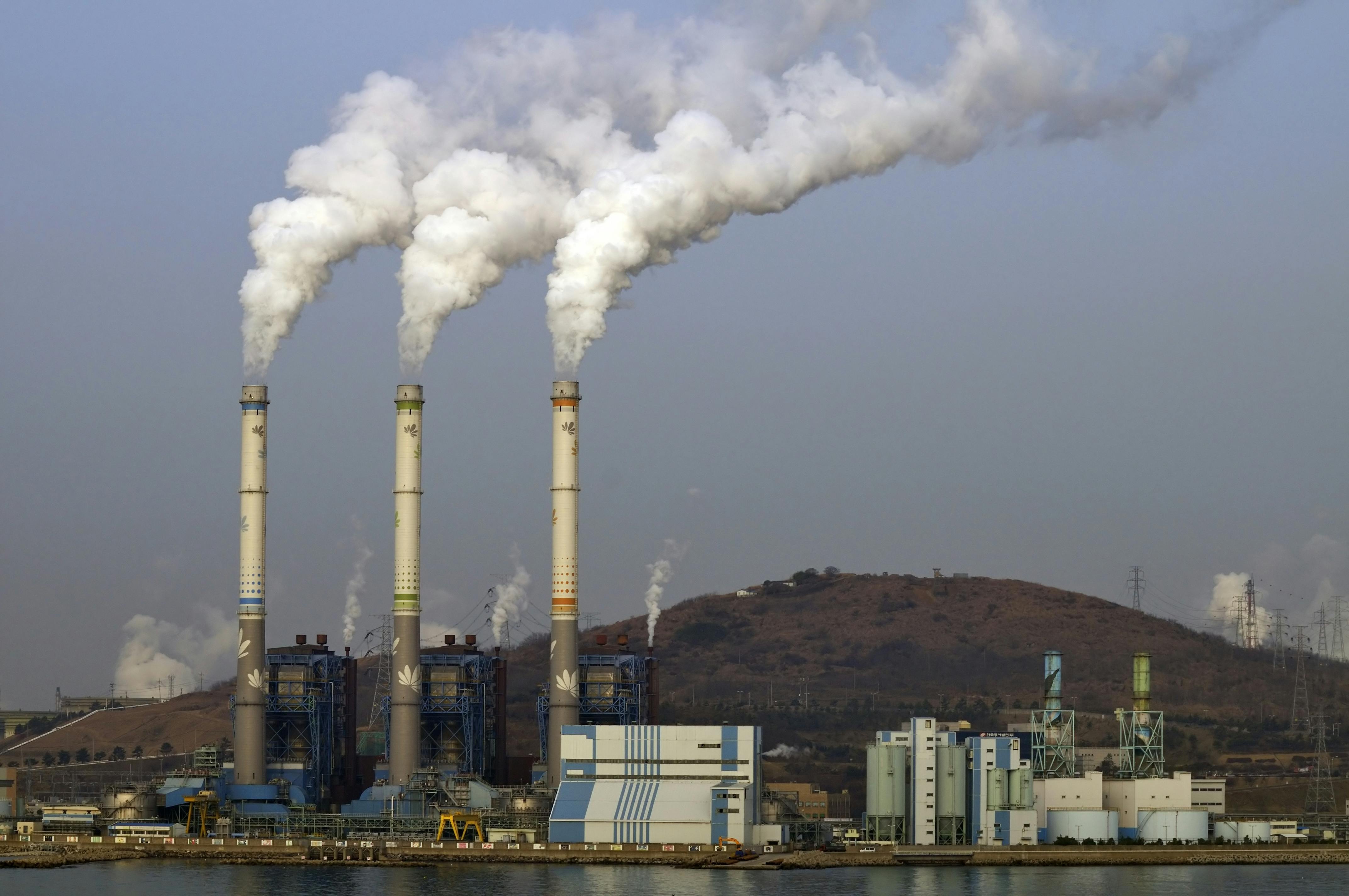 Competitive Advantage Is the Top Motivator for Tackling Corporate Emissions