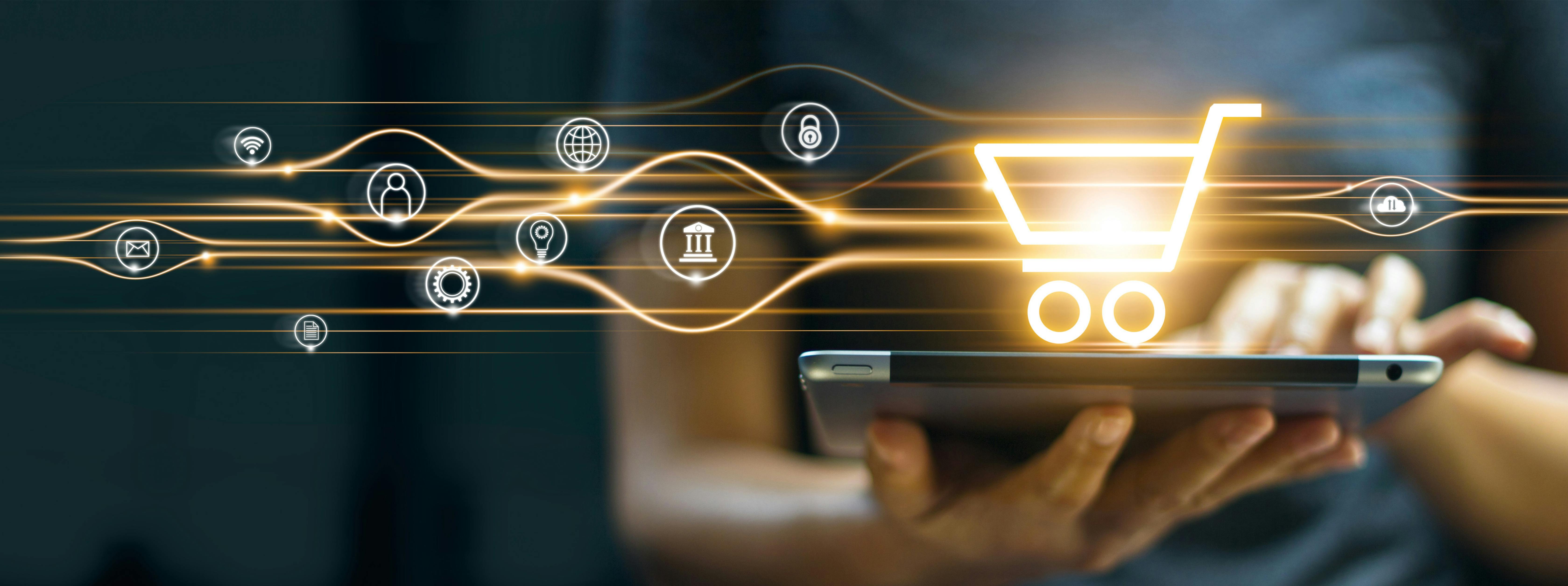 Online Shoppers Crave Control