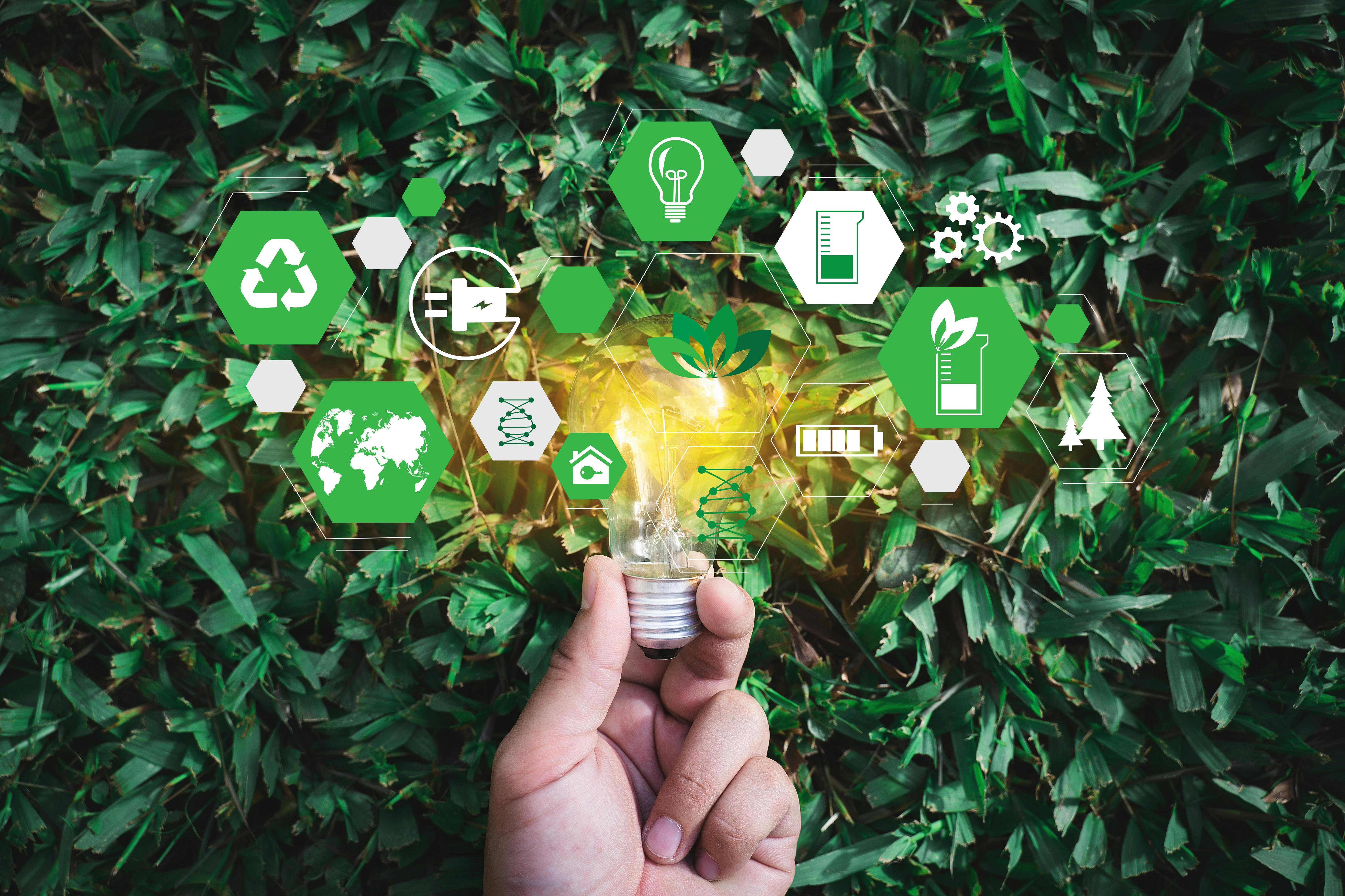 87% of Companies Boost Sustainability, Despite Regulatory Debate