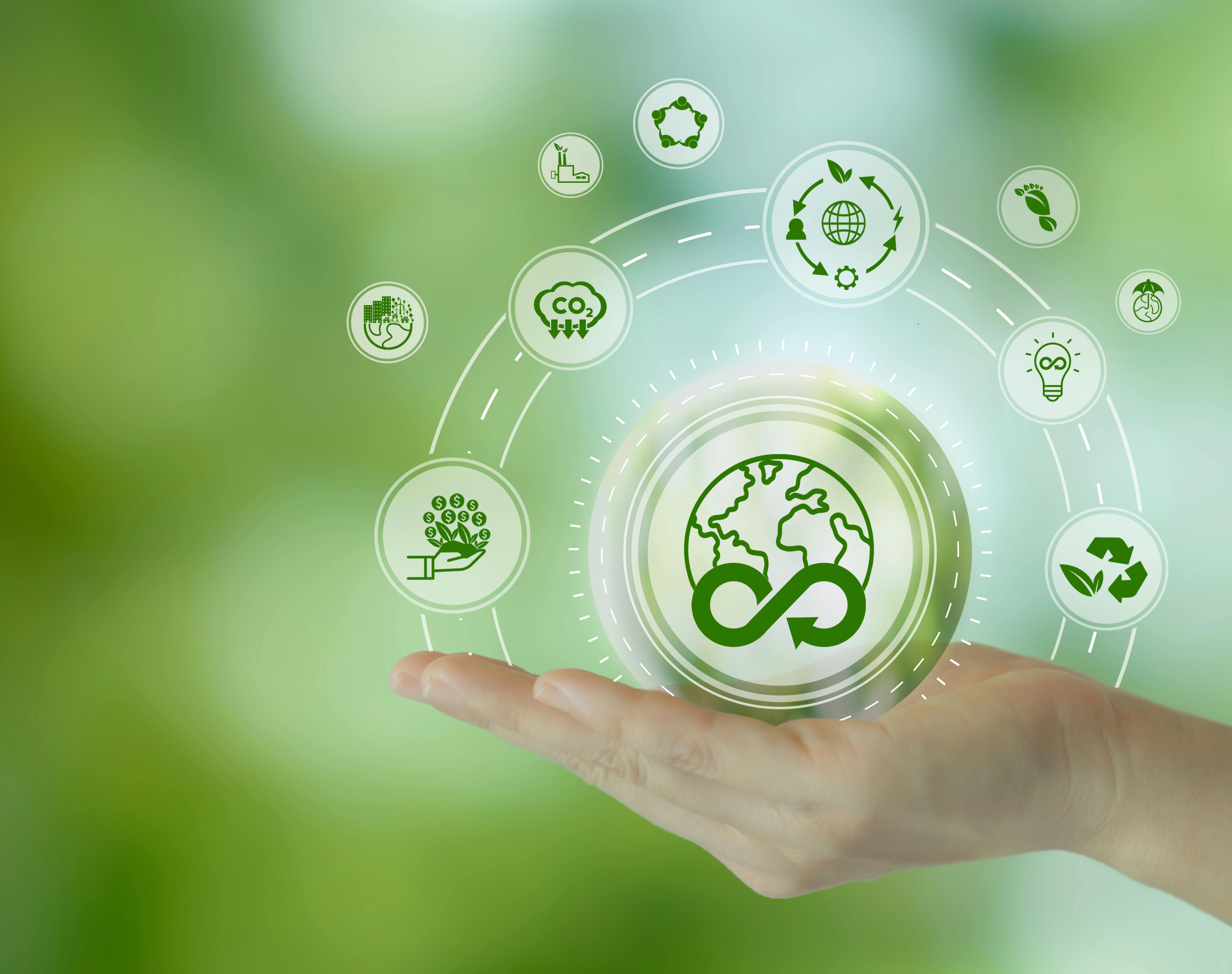 Sustainable Packaging Moves to Legislative Guidelines