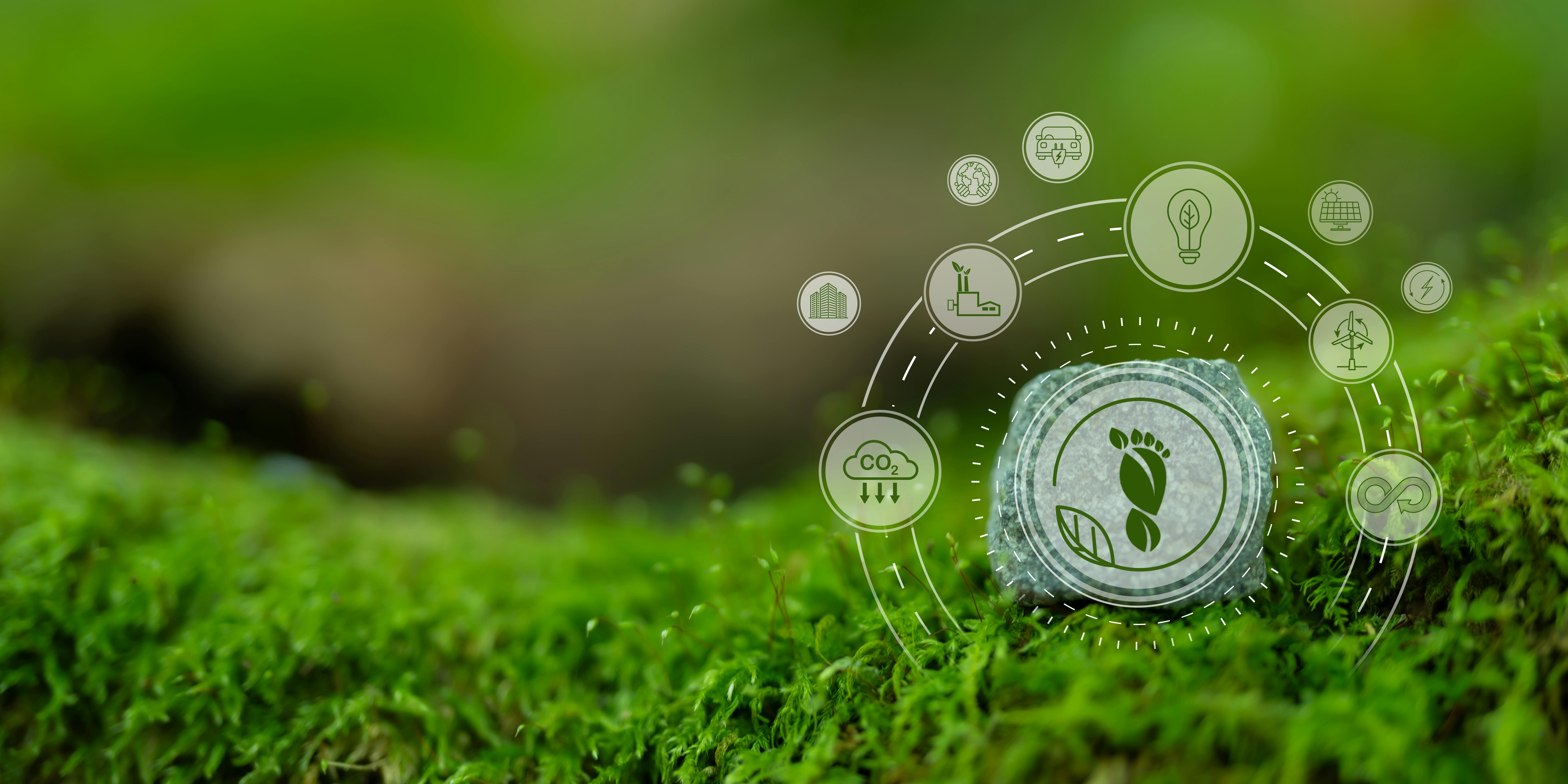 How to Scale Circular Supply Chains