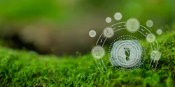 How to Scale Circular Supply Chains