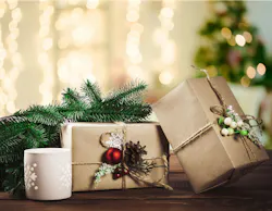 Holiday Shopping Affected by Affordability